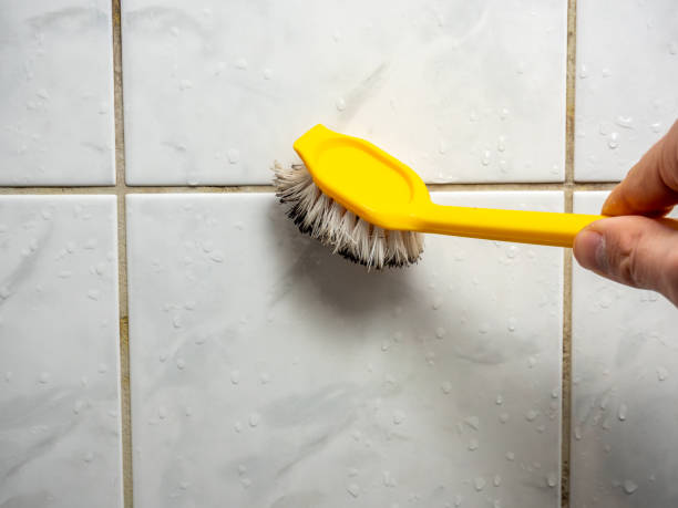 Best Best Mold Removal Companies  in Gloucester Point, VA