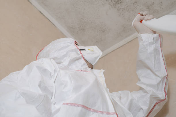 Best Commercial Mold Removal  in Gloucester Point, VA