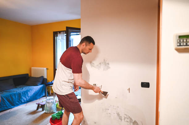 Best Local Mold Removal Service  in Gloucester Point, VA